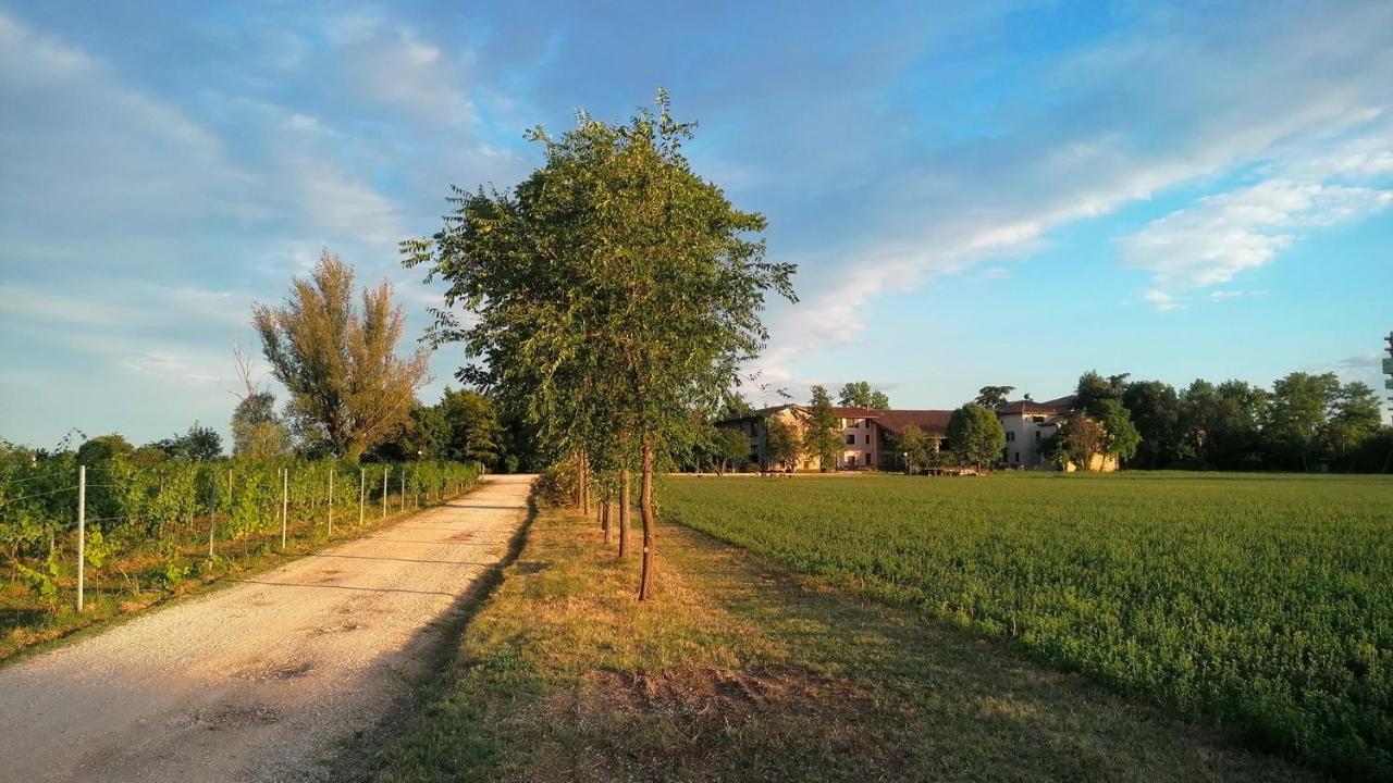 Agriturismo Alle Albare Montorio Veronese Exteriér fotografie