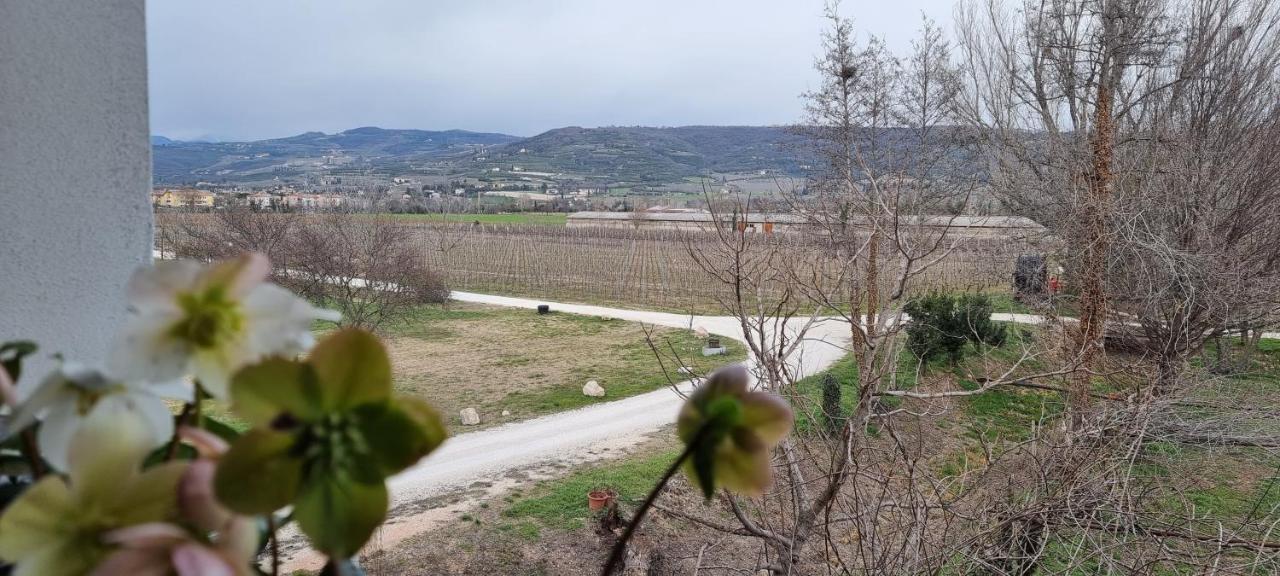 Agriturismo Alle Albare Montorio Veronese Exteriér fotografie