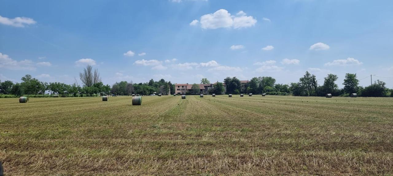 Agriturismo Alle Albare Montorio Veronese Exteriér fotografie