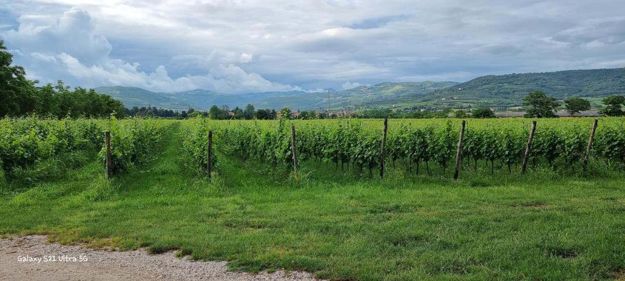 Agriturismo Alle Albare Montorio Veronese Exteriér fotografie